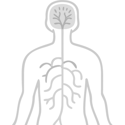 Sinir Yaralanmalarında EMG'nin Rolü