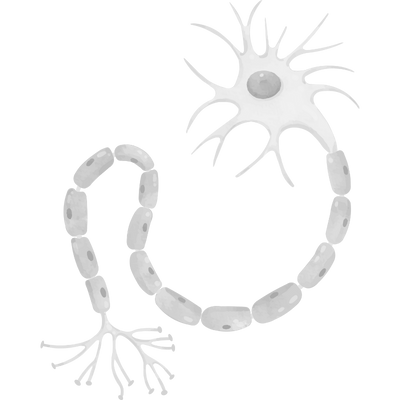 Motor Nöron Hastalıkları, ALS